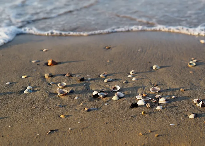 Spacious Seaside Flat For Large Families *